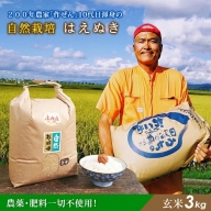 SA1533　令和4年産【玄米】自然栽培米 はえぬき　3kg AI