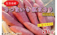 [2026年2月中旬より順次発送]野原さんちのさつまいも 紅まさり 約5kg|芋 さつまいも サツマイモ お芋 いも 紅まさり 期間限定 先行予約 茨城県 行方市(EL-1-1)