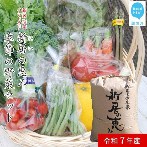 新米 白米 令和7年産 「新居の恵み（コシヒカリ）」5kg えひめ未来農業協同組合ブランド米と季節の野菜2kgセット（クール便でお届け）
 63628 - 愛媛県新居浜市