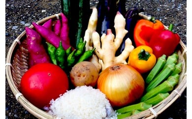 野菜 8種類程度 お米 2kg セット 詰め合わせ 季節 新鮮 精米 白米 米 ご飯 こめ 産地直送 高知県 須崎市 NK003