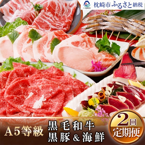 CC-0009 定期便(2回の配送)お楽しみ便(黒毛和牛・黒豚・海鮮)
