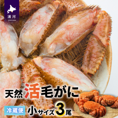 【今が旬！】漁協の活毛がに 小サイズ３尾セット※日付指定対応不可※[02-1206] 636735 - 北海道浦河町