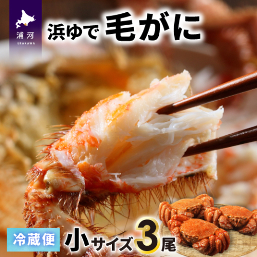 【今が旬！】漁協の浜ゆで毛がに 小サイズ３尾セット※日付指定対応不可※[02-1201] 636885 - 北海道浦河町