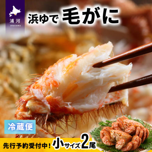 【先行受付開始！】漁協の浜ゆで毛がに 小サイズ２尾セット※日付指定対応不可※[02-1202] 636890 - 北海道浦河町