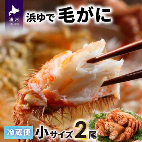 【今が旬！】漁協の浜ゆで毛がに 小サイズ２尾セット※日付指定対応不可※[02-1202] 636890 - 北海道浦河町