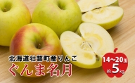 ＜2024年11月中旬よりお届け＞北海道壮瞥町 りんご「ぐんま名月」14～20玉約5kg 果物 フルーツ くだもの