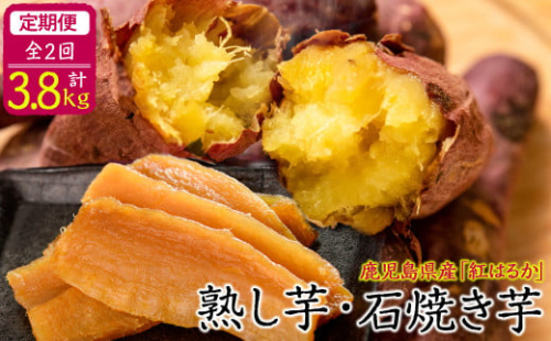 【定期便全2回】鹿児島県産紅はるかで作った熟し芋と石焼き芋のお楽しみ便＜計3.8kg＞ t0031-002