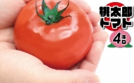 【2021年11月～2022年6月出荷】【ＪＡむなかた　トマト部会直送】桃太郎トマト4kg[C4189]