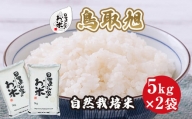 １９２．日置さん家の自然栽培米「鳥取旭」精米　5kg×2袋 2024年産