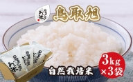 １９６．日置さん家の自然栽培米「鳥取旭」玄米　3kg×3袋 2024年産