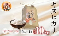 【令和5年産】キヌヒカリ10kg（5kg × 2袋） おいしい多賀のお米 [B-00401]