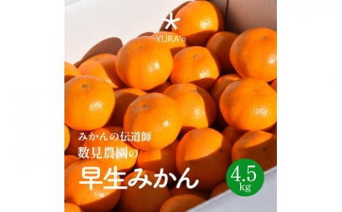 ※先行予約※和歌山県早生みかん11月下旬発送4.5Kg 638258 - 和歌山県印南町