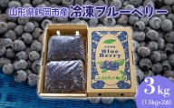 【数量限定】鶴岡産冷凍ブルーベリー　3kg（1.5㎏×2袋）