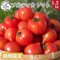 【A7-028】期間限定　大切に育てたフルーツトマト（フルティカトマト）1.2kg