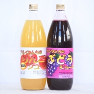 テルイさんちのジュースセット【りんごジュース＆ぶどうジュース】各1L【照井観光果樹園】