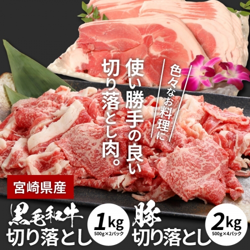 牛肉＆豚肉切り落としセット【合計3kg】 K16_0057_1