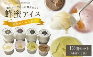 【2月20日～24日発送】かの蜂 はちみつ アイスクリーム 12個セット （4種×3個） ミルク チョコレート ストロベリー ピスタチオ 冷凍