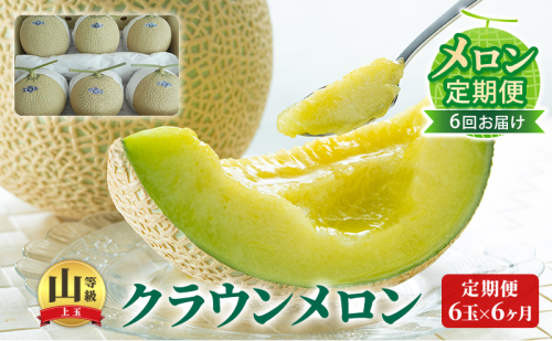 【メロン定期便】クラウンメロン 『山等級』6玉詰【6か月連続】 山級 フルーツ 果物 6ヶ月 63959 - 静岡県森町
