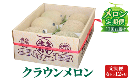【メロン定期便】クラウンメロン(白等級)中玉6玉詰【12か月連続】 果物類 メロン青肉 63964 - 静岡県森町