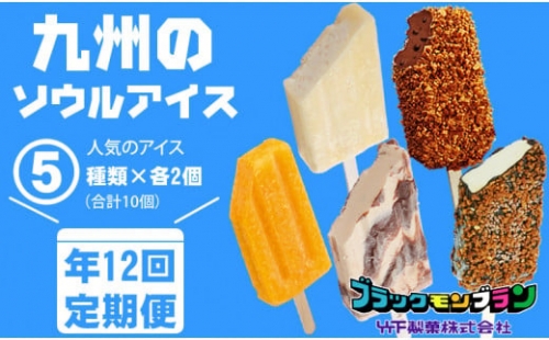 【定期便】 (12ヶ月連続お届け)竹下製菓人気アイス10本 639784 - 佐賀県小城市