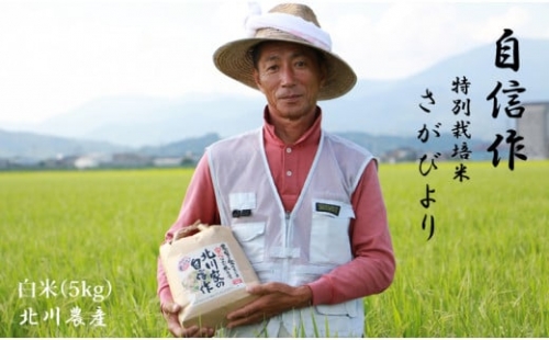 特別栽培米「さがびより」北川農産（5kg）佐賀県産