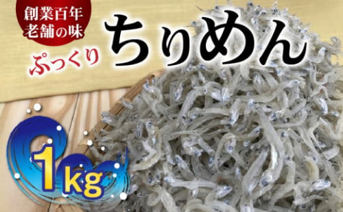 H6015n_ぷっくり ちりめん 1kg 639852 - 和歌山県湯浅町
