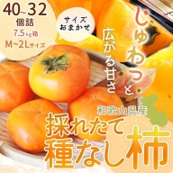 EB6013_【和歌山県産】採れたて 種なし柿 M～2Lサイズおまかせ 40～32個詰 7.5kg箱