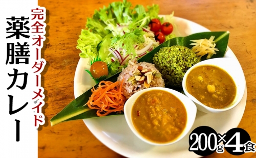 完全オーダーメイド『薬膳カレー』200g×4食 640323 - 沖縄県沖縄市