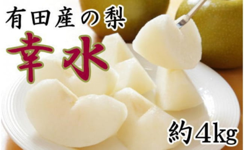 [厳選・産直]有田産の梨(幸水)約4kg★2026年8月頃より順次発送 640462 - 和歌山県有田川町