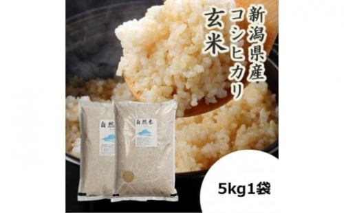 「米屋のこだわり阿賀野市産」GOZU自然米 玄米５kg 1E14018