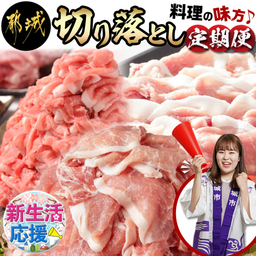 料理の味方!切り落とし定期便(3ヶ月)_T45-MY08 640674 - 宮崎県都城市