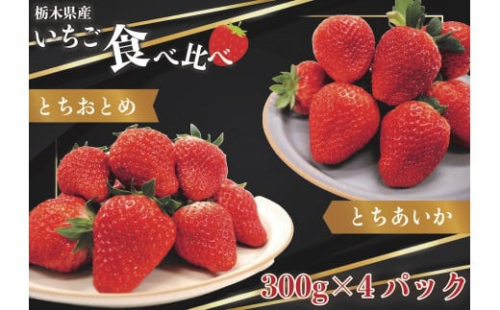 [歴代王者と期待の新人] とちおとめ×とちあいか食べ比べセット1200g (1月中旬より順次発送) [0243] 640677 - 栃木県矢板市