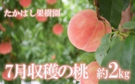 No.2530【先行予約】たかはし果樹園の桃　7月収穫約2kg【2024年発送】
