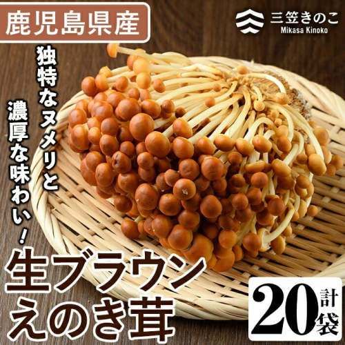 生ブラウンえのき茸(20袋・計3.6kg)国産 エノキ きのこ 茸 キノコ 個包装【三笠えのき茸生産組合】akn010-09 641072 - 鹿児島県阿久根市