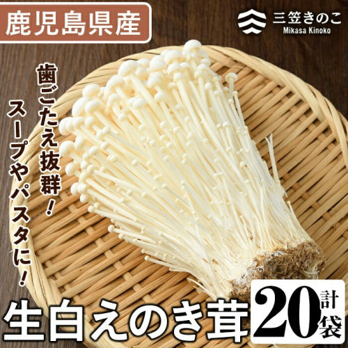生白えのき茸(20袋・計5kg)国産 エノキ きのこ キノコ 個包装【三笠えのき茸生産組合】akn010-10 641074 - 鹿児島県阿久根市