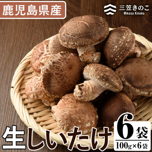 数量限定！原木生しいたけ(6袋・計1.2kg) 国産 しいたけ 生 椎茸 シイタケ きのこ 個包装 小分け 自然栽培【三笠えのき茸生産組合】a-12-219-z 641076 - 鹿児島県阿久根市