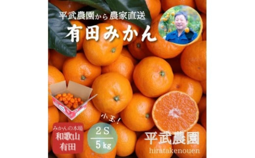 農家直送！有田みかん（5kg 2Sサイズ（小玉）秀品）平武農園　～蛍飛ぶ町から旬の便り～ 641186 - 和歌山県有田川町