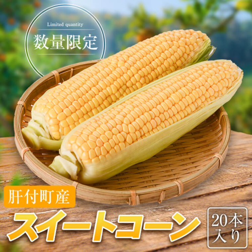 【先行受付】農家直送!朝採れ スイートコーン 641190 - 鹿児島県肝付町