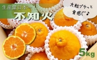 不知火 熊本玉名産 5kg | フルーツ 果物 くだもの 柑橘 ミカン みかん オレンジ しらぬい 熊本県 玉名市