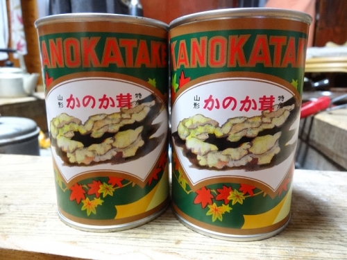 大江町柳川産 原木かのか茸(ブナハリタケ)水煮200g×2缶(固形量) 64154 - 山形県大江町