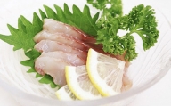 熊野なまず フィレセット（スキンレス70g×2枚、皮付き70g×2枚） 刺身 お刺身 【NHK総合うまいッ！で紹介されました】