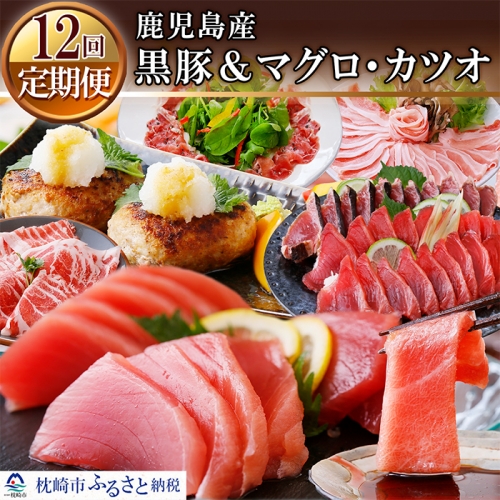 HH-0021 定期便(12ケ月)鹿児島県産黒豚&まぐろ・かつお