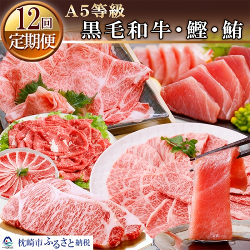 JJ-0016 定期便(12ケ月)A5等級鹿児島産黒毛和牛&マグロ・カツオ