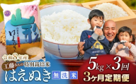 [令和8年産先行予約][3ヶ月定期便]工藤さんの特別栽培米 はえぬき無洗米 5kg ×3回(計15kg) 山形県鶴岡市 株式会社サンエイファーム | はえぬき 5キロ 無洗米 米どころ 庄内米 ブランド米 米 コメ こめ ご飯 ごはん 美味しい お取り寄せ 農家直送 東北 国産 おすすめ 人気 返礼品