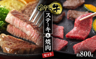 北海道産 ゆうべつ牛 ステーキ・焼き肉セット B 約800g 赤身 牛肉 冷凍 湧別牛 冷凍 国産 遺伝子 オホーツク お肉 焼肉 バーベキュー