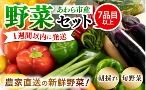 【1週間以内に発送！】農家直送 旬の野菜セット 7品目以上 1箱 [aw028-a012]