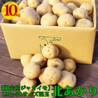 網走産ジャガイモ（北あかり）【LM～2Lサイズ混玉】約10キロ〇