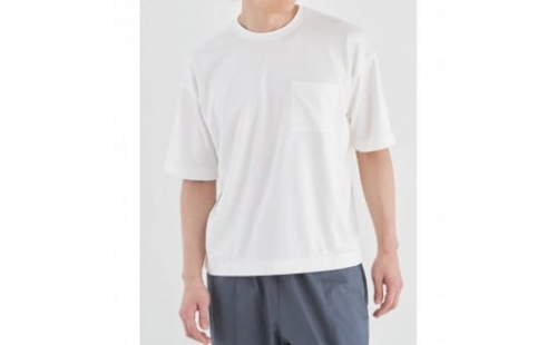 ◆サイズ：L◆【毛玉防止・型崩れしにくいTシャツ】デラヴィスポンチ BOLD FIT 半袖｜クルーネック