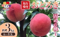 ＜先行予約＞固めの桃 おどろき 約3kg（6～8玉） F21R-880