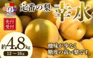 ＜先行予約＞定番の梨 幸水 約4.8kg（12～16玉） F21R-883